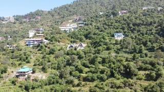 Ruah - Swiss Cabin near Kasauli - 2