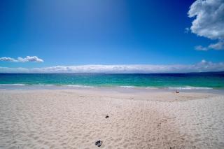 Myuna - beachfront pet-friendly coastal escape - 2