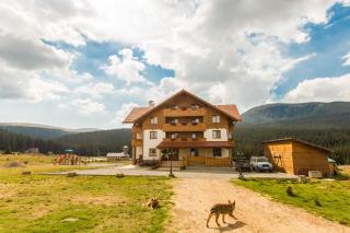Pensiunea Sureanu - Tău Bistra - 7