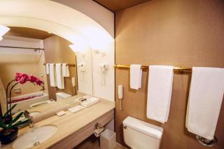 Regency Art Hotel - 7