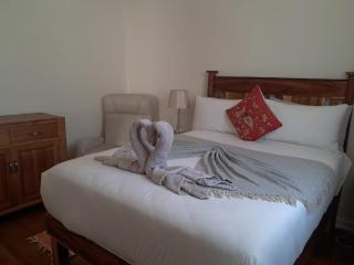 Modern Home in Historic Neighborhood - 4