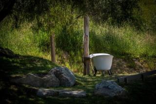 Wharangi Cottage - 9