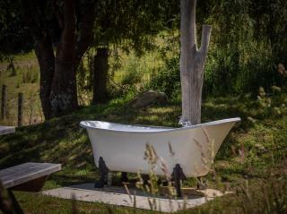 Wharangi Cottage - 8