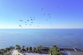 Home Sweet Home by the Sea 060 - Happy Rentals - 9