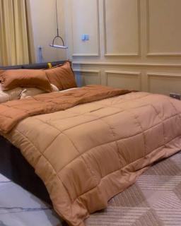 Luxury 1 Bedroom Apartment in Old Ikoyi, Lagos - 5