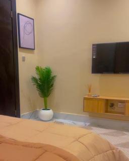 Luxury 1 Bedroom Apartment in Old Ikoyi, Lagos - 6