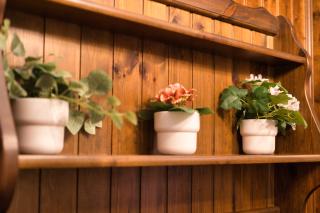 Due torri - Appartamento Alpino a Moggio Centro - 8