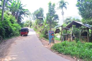 Ella Woodland 3 Arch Cottage - 9