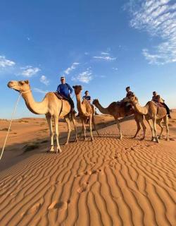 Endless Dunes Camp - 5