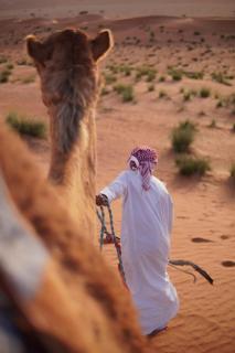 Endless Dunes Camp - 6