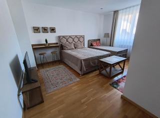 Apartman Nik Brzeće Kopaonik - 9