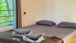 Sunny's Paradise - 9