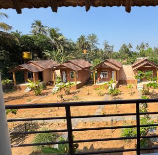 Sunny's Paradise - 7