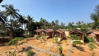 Sunny's Paradise - 6