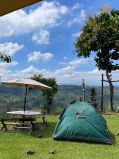 Thrill Playgrounds & Tipi Cafe -  - 6