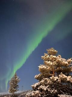 Wake up to the silence and beauty of the Lyngen Alps - 8