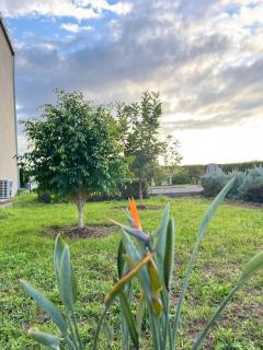 Villa Deluxe Au Pied de l'Atlas Béni Mellal - 3