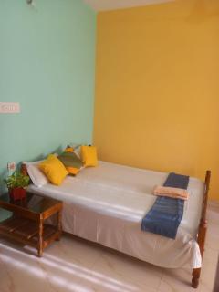 Single NON AC Room in 3BHK - 4