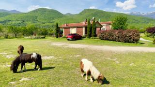 Pozar Park Rooms - 6