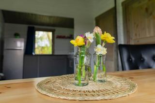 Camping Suderse - De Skries - 6