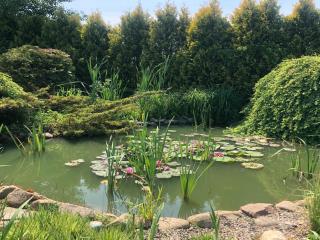 Comfortable holiday home on Lake Jamno, Podamirowo - 8