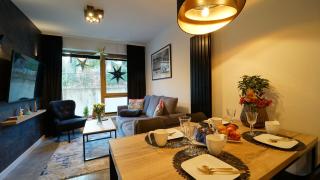 Apartament Wyjątkowy z sauną - 0