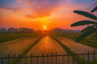 Griya Syariah Adinda Asri - 8