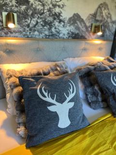 Bavaria Mountain Chalet DESIGN Ferienwohnung SKI Arber Osser Terrasse Sauna in Villa mit Bergblick bis 6 Pers - 9