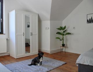 Wanderlust Family Suite with Garden - 3