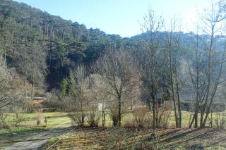 Wanderlust Family Suite - Self Check-In, near Ski Area - 4