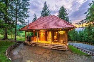 MyNest - Mountain luxury cabin - 9