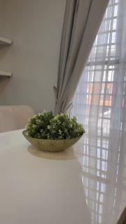 Alma Beach Terraces - 4