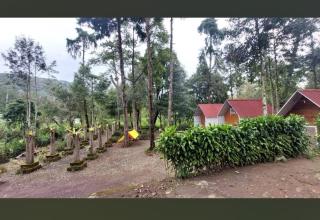 Penginapan Cimanggu forest - 7