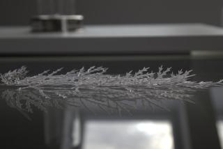 Destination Markgräfler Land - 6