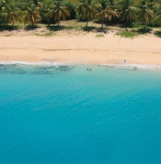 Superbe appartement cosy neuf - 8