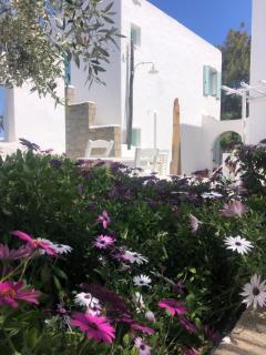 Thalassitra Village Hotel - 1