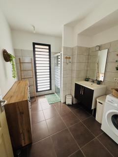 LE LAGON La Saline Les Bains vue mer, piscine - 7