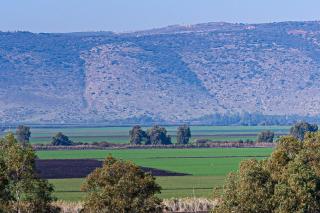 שלווה בנוף העמק - 0