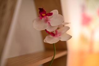 FLH - Die alte Brauerei - 4