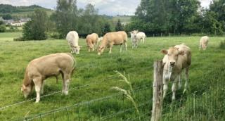 Cottage de Vardes - 7