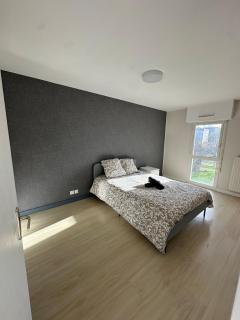 T3 proche aéroport - 8