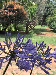 Dombeya Ridge Guest Suite - 5