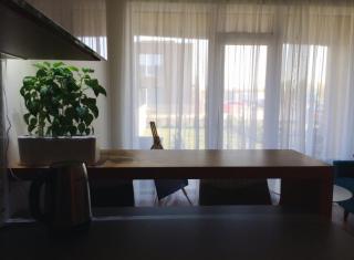 Cozy Apartment with a Spacious Private Terrace and private entrance! - 3