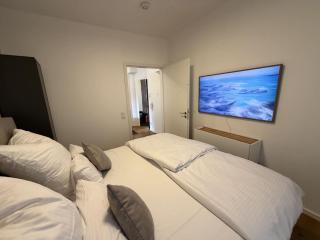 Brand new luxury apartment on Rathausplatz - 3