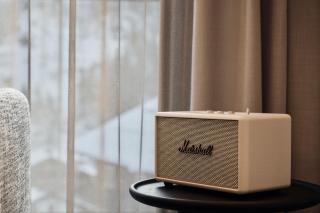 Chalet Ischgl - Modern Luxury Residences - 7