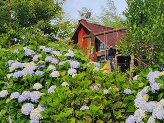 Chalé manacá da Serra - 8