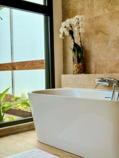 Villa avec Piscine & Jacuzzi privé, à Ste Suzanne - 1