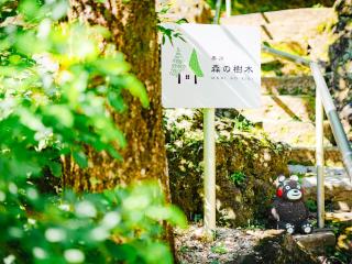 Kurokawa Mori No Kiki - 6