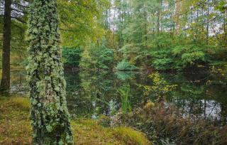 Cozy Home In Tyringe With Wifi - 7