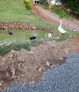 Cabana automatizada com vista para a lagoa - 6